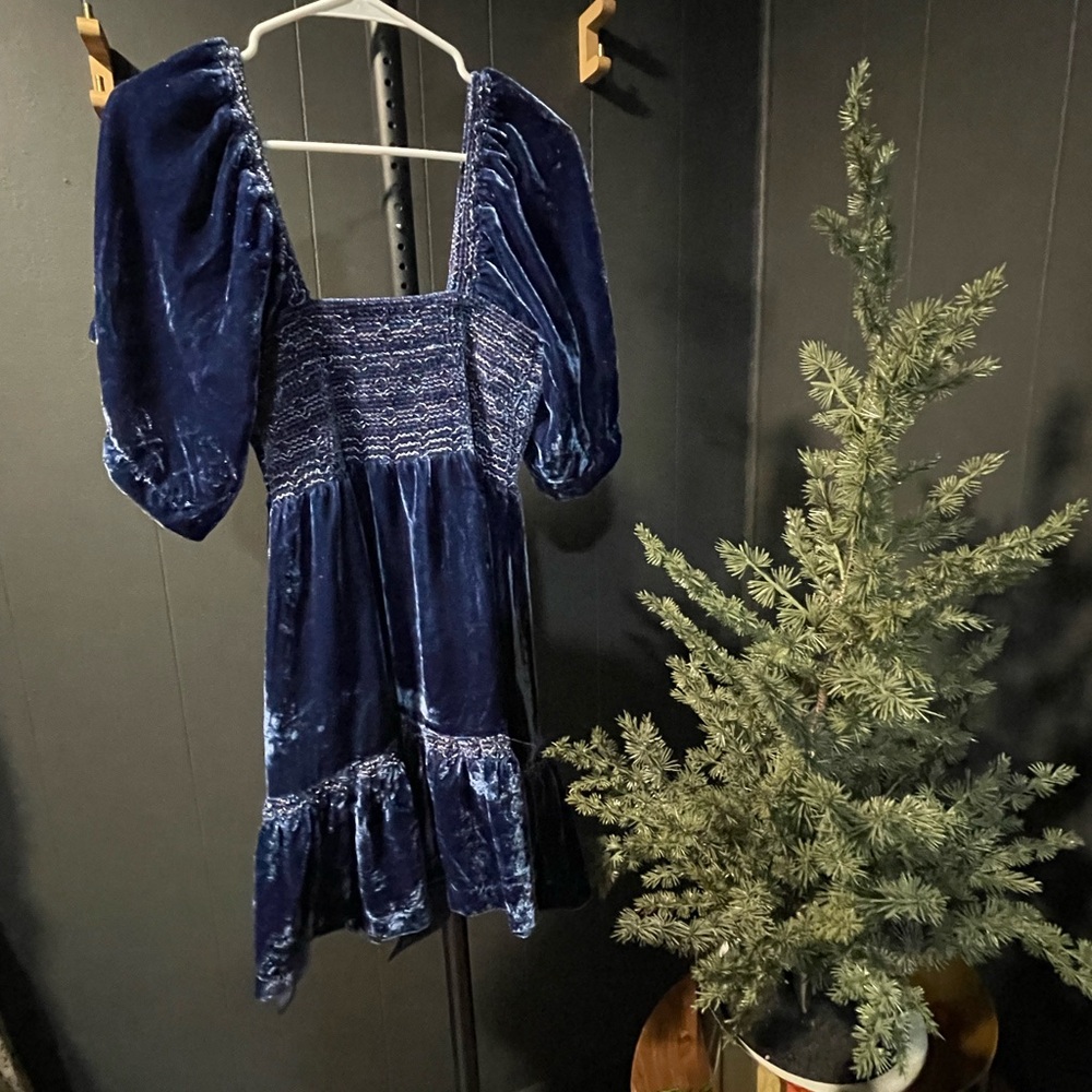 Free People Velvet Dress in Deep Blue